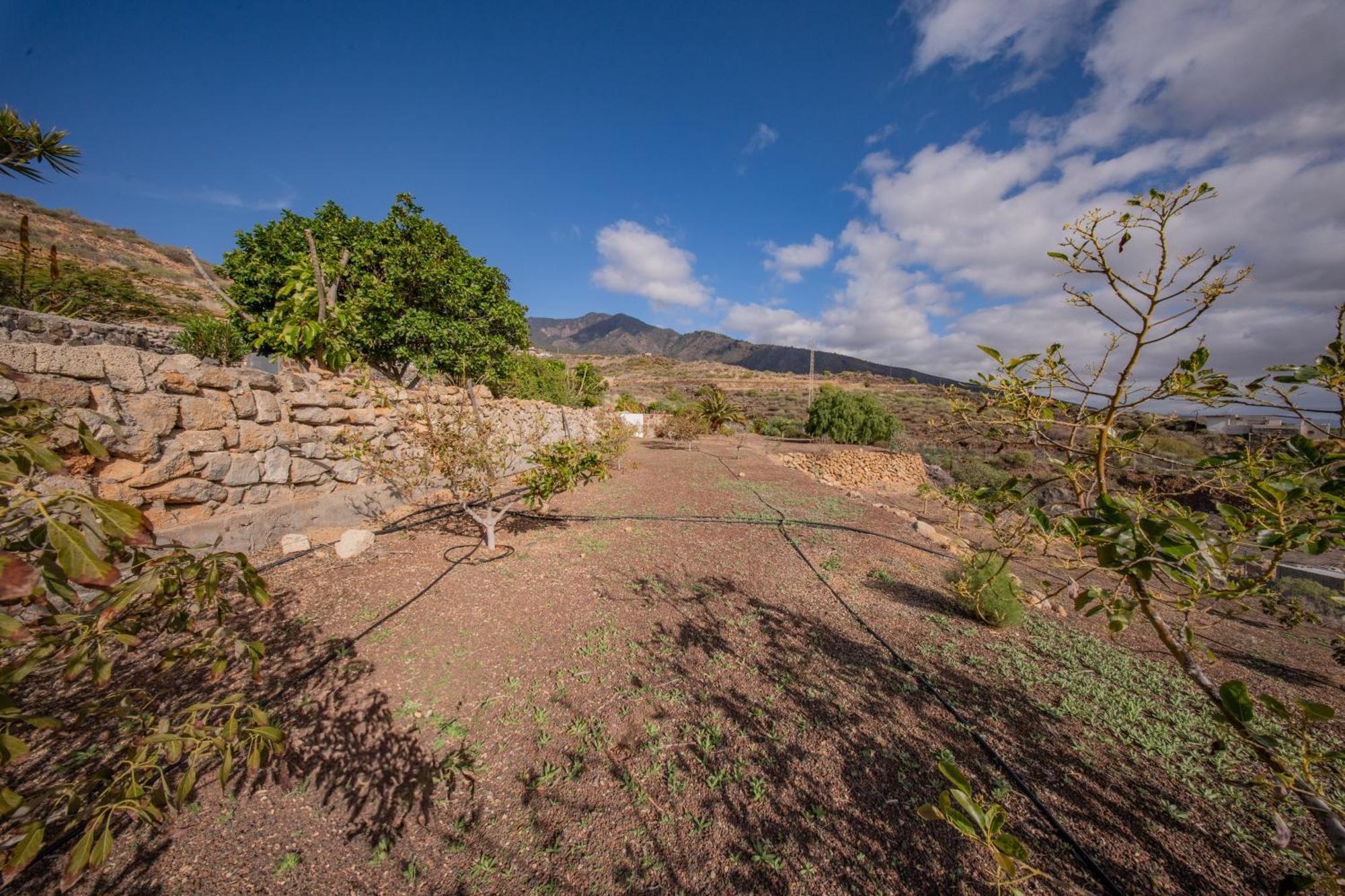 Casa Rural Buda Terra Санта Крус де Тенерифе Екстериор снимка
