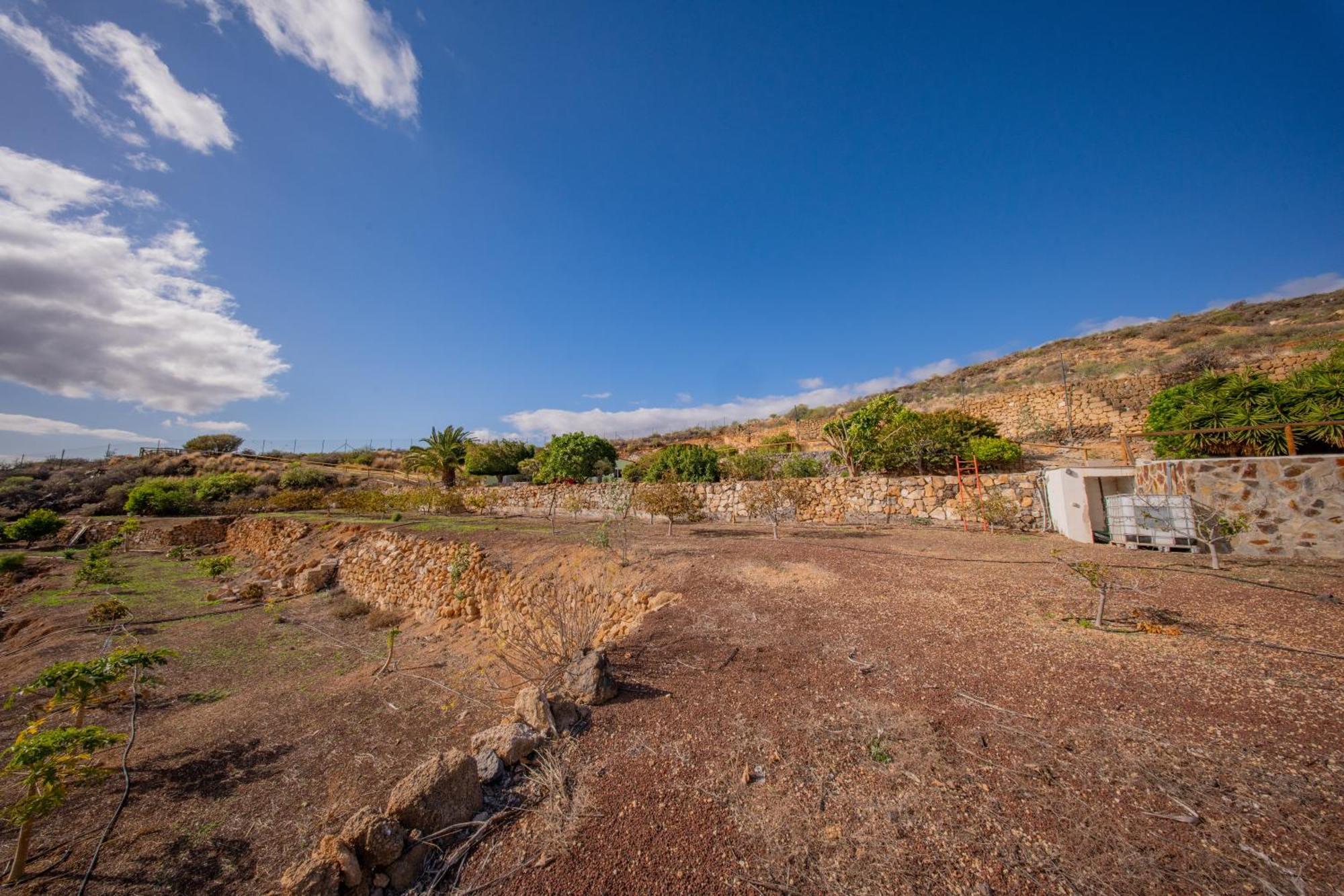 Casa Rural Buda Terra Санта Крус де Тенерифе Екстериор снимка
