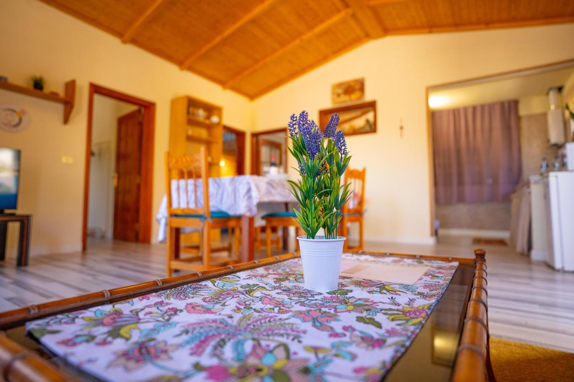 Casa Rural Buda Terra Санта Крус де Тенерифе Екстериор снимка